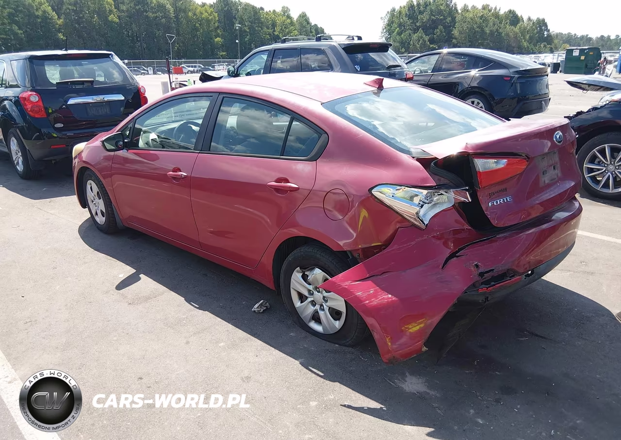 2015 Kia Forte Lx VIN:KNAFX4A66F5343209 - 3