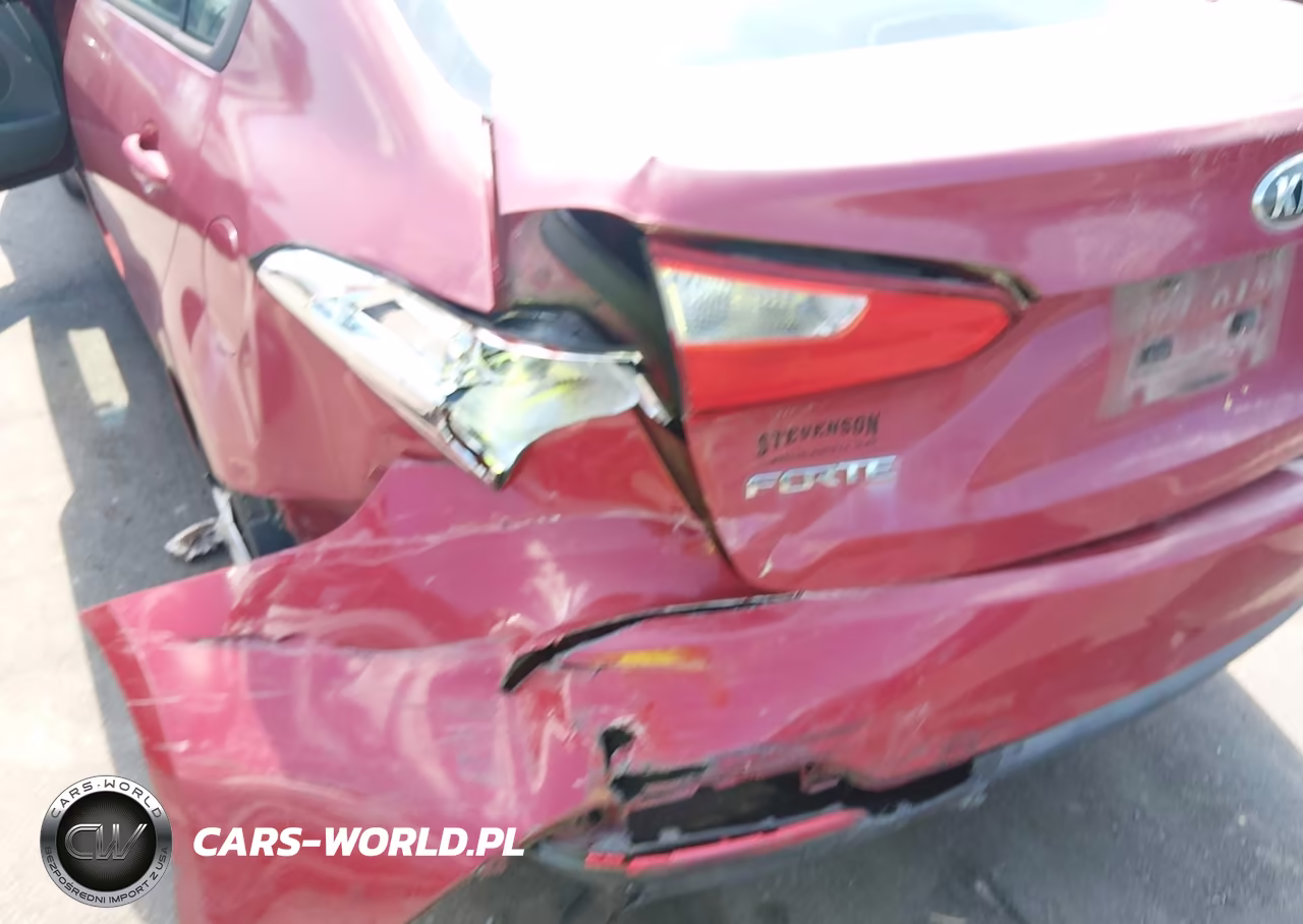 2015 Kia Forte Lx VIN:KNAFX4A66F5343209 - 6