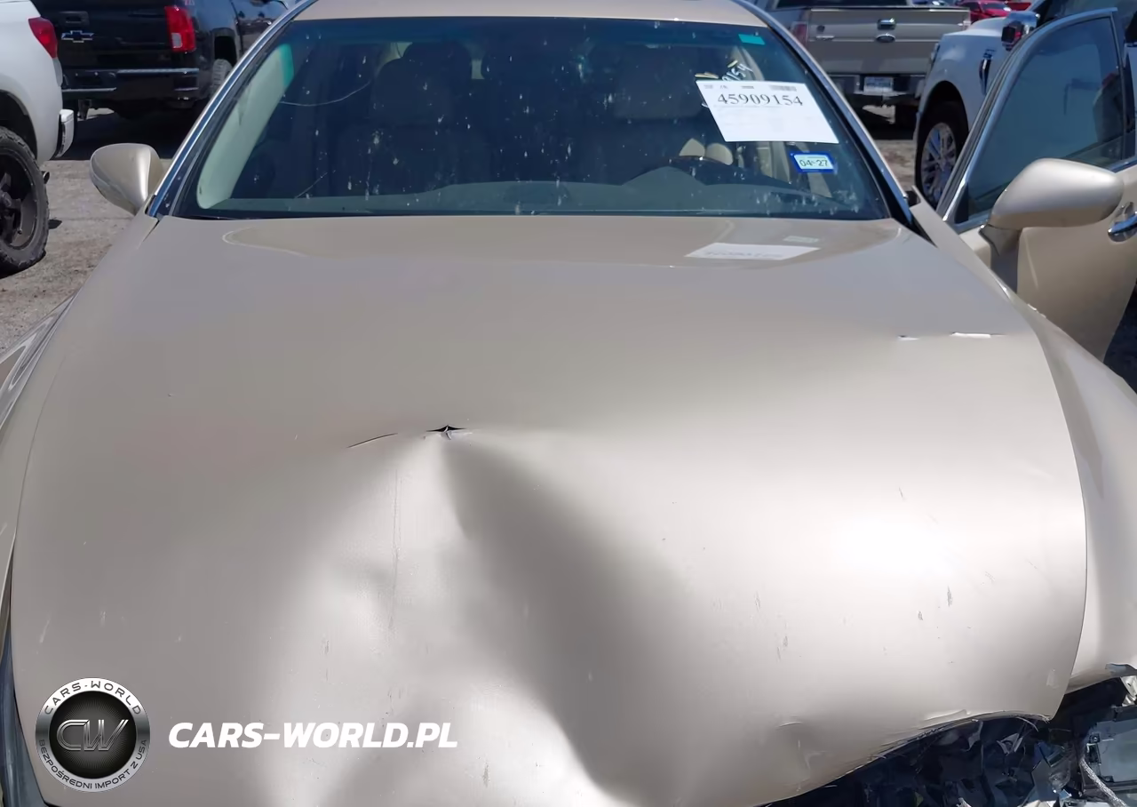 2007 Lexus Ls 460 VIN:JTHBL46F375041172 - 10