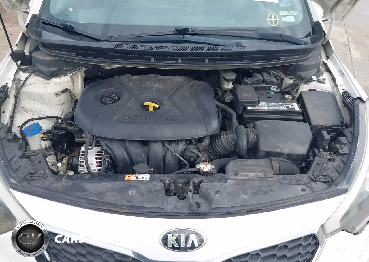 2016 Kia Forte Lx VIN:KNAFX4A6XG5590394 - 10