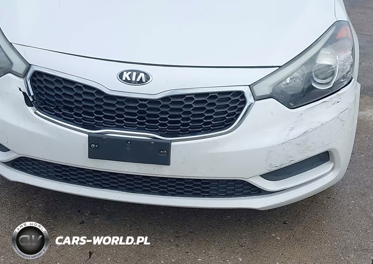 2016 Kia Forte Lx VIN:KNAFX4A6XG5590394 - 6