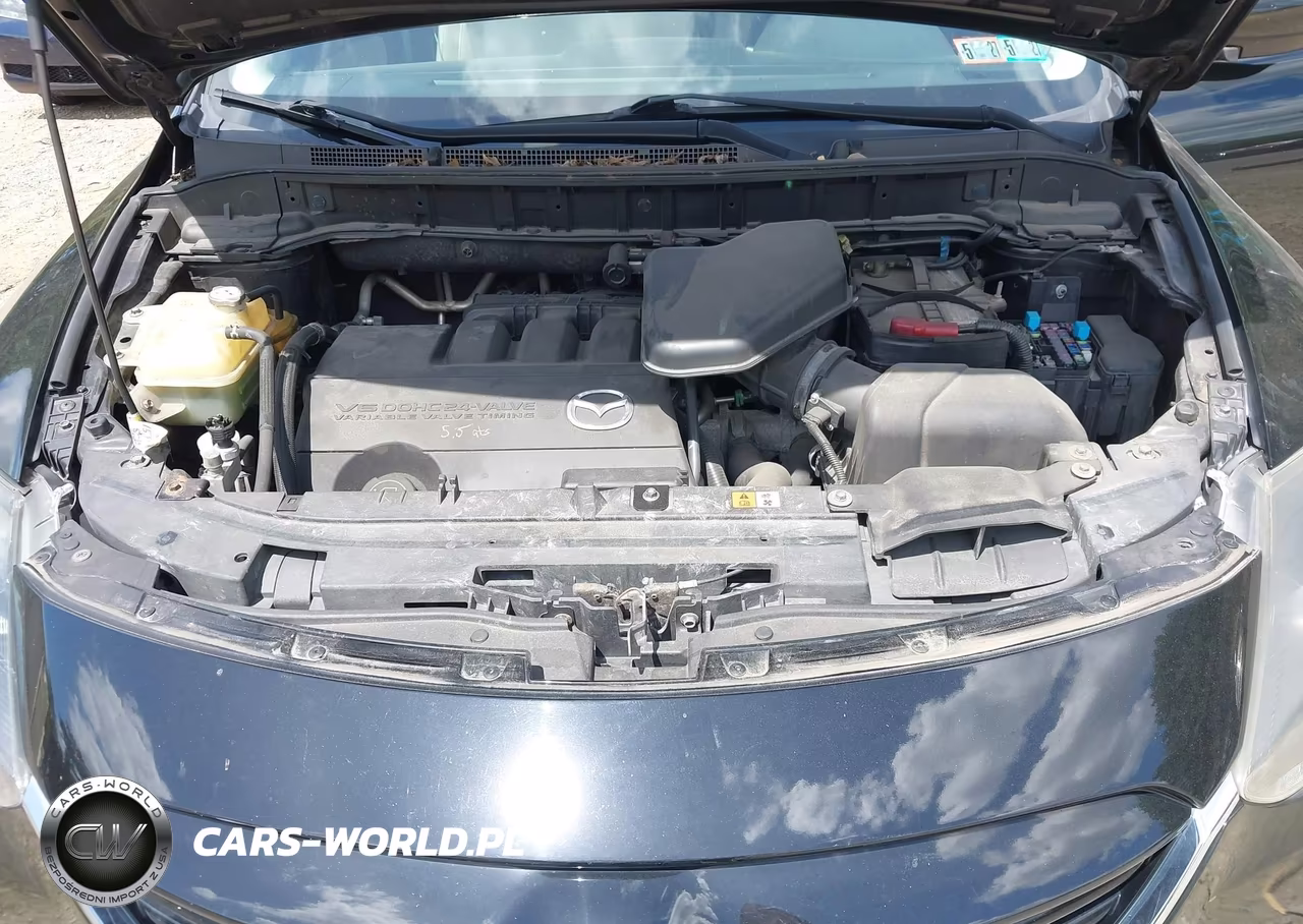 2013 Mazda Cx-9 Touring VIN:JM3TB3CV8D0422000 - 10