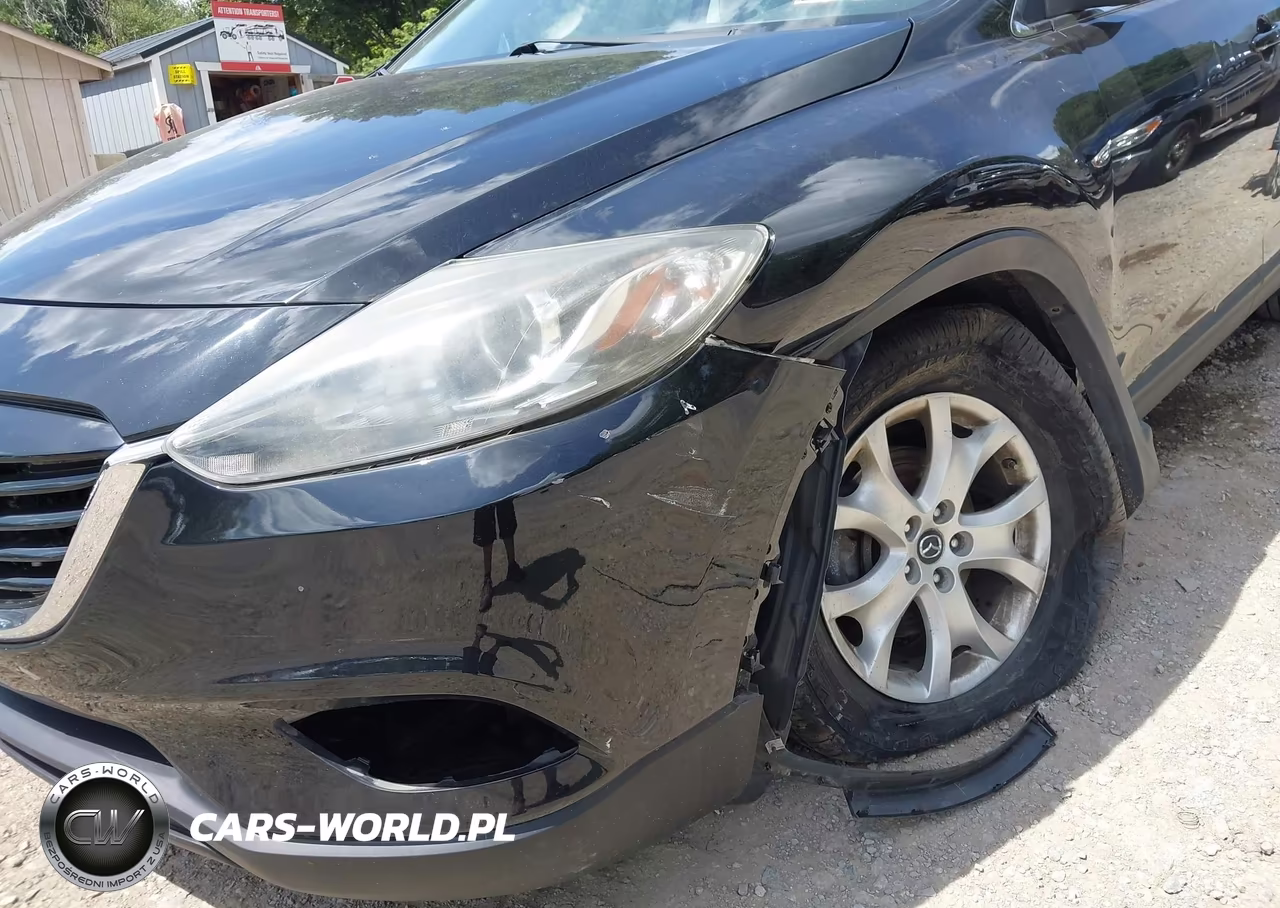 2013 Mazda Cx-9 Touring VIN:JM3TB3CV8D0422000 - 6