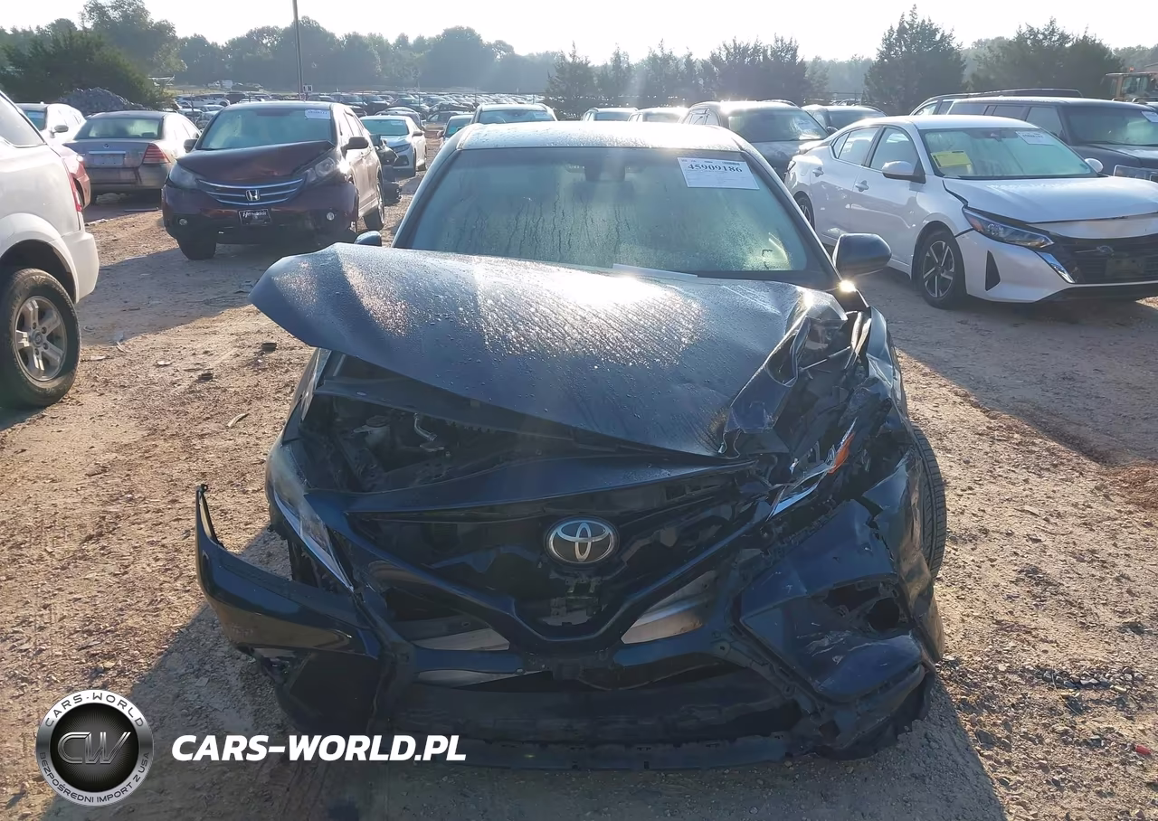2019 Toyota Camry Se VIN:4T1B11HK0KU698750 - 12
