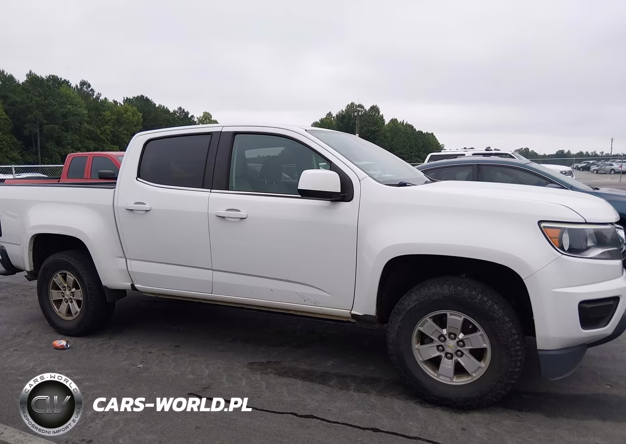 2019 Chevrolet Colorado Wt VIN:1GCGSBEA5K1161317 - 13