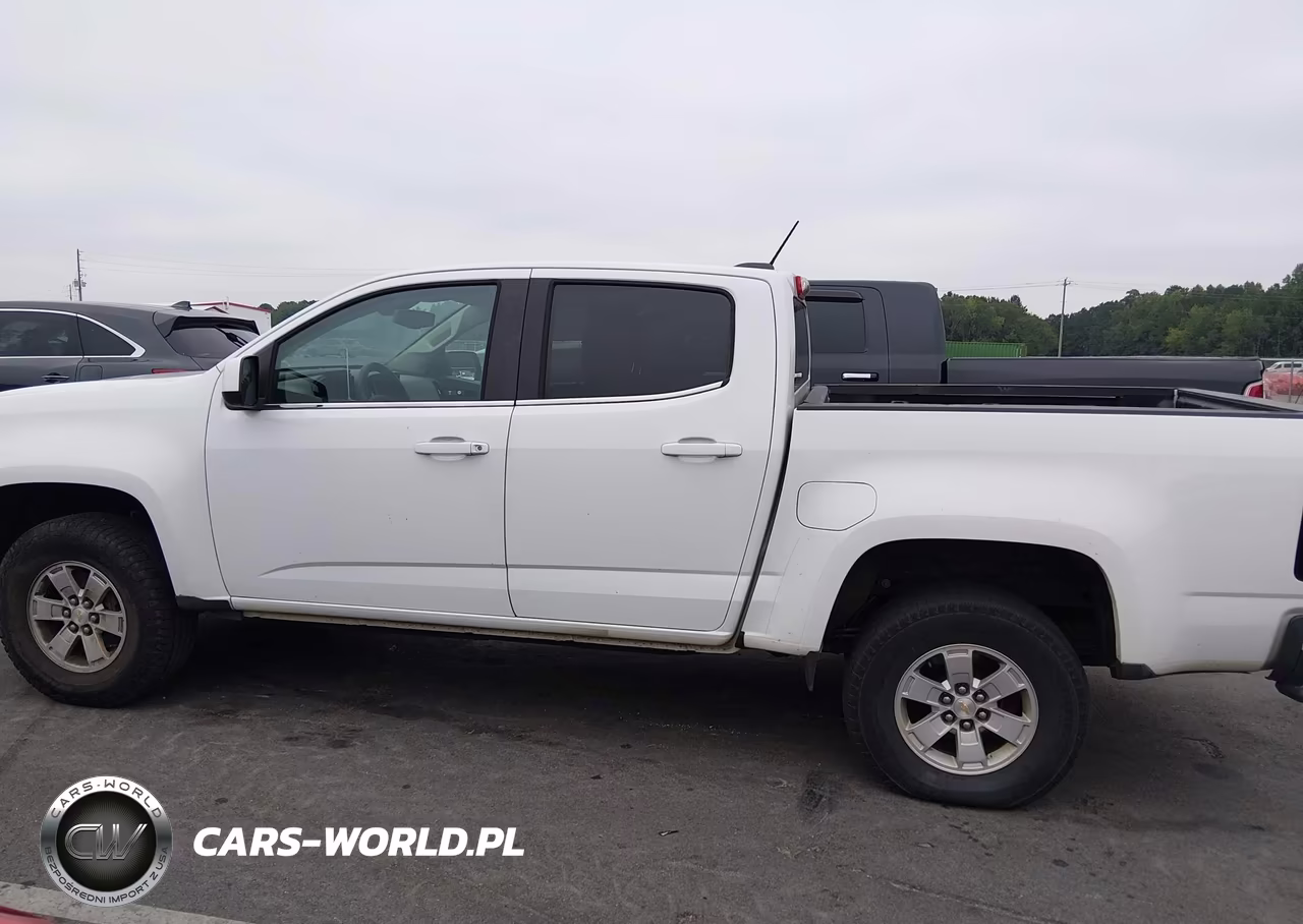 2019 Chevrolet Colorado Wt VIN:1GCGSBEA5K1161317 - 14