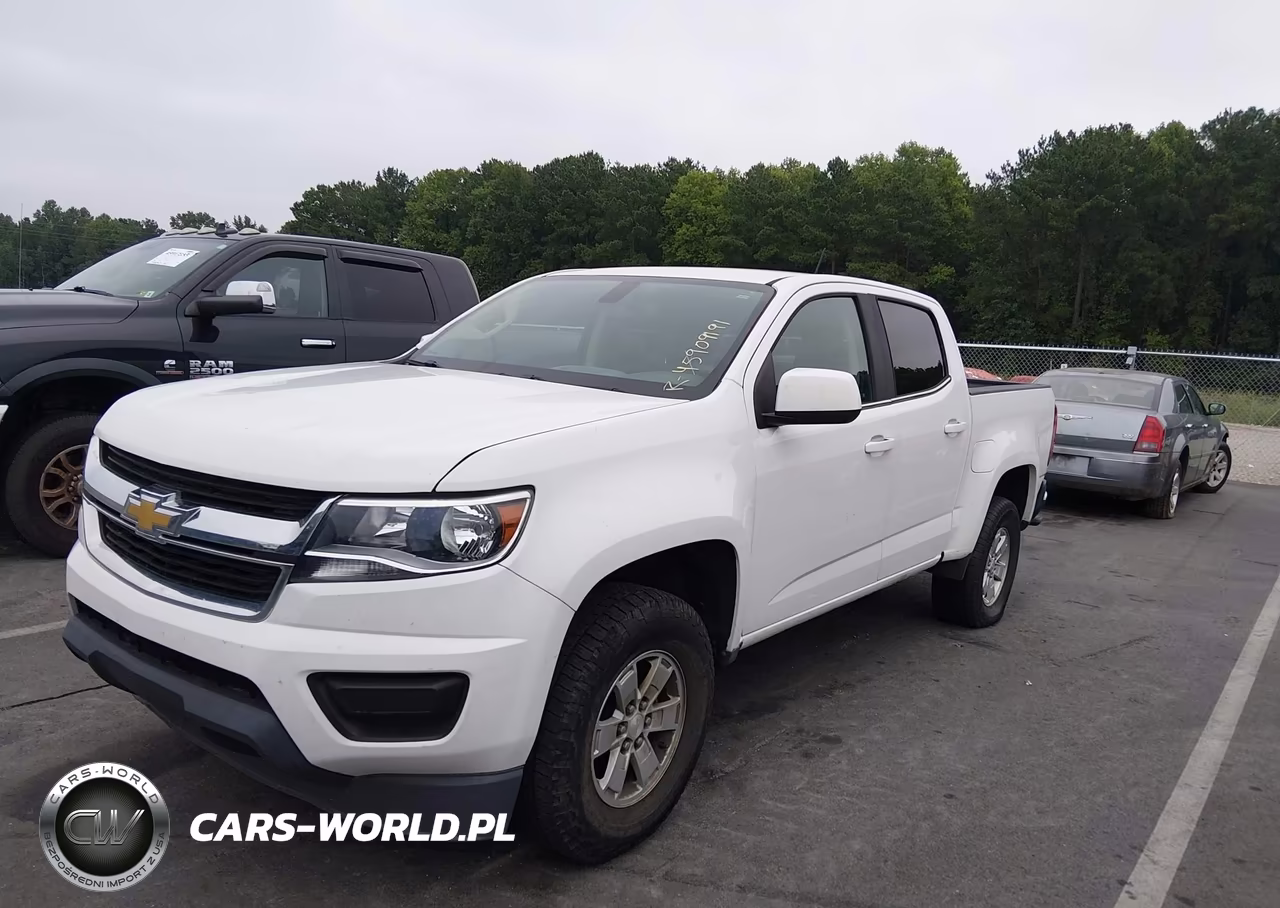 2019 Chevrolet Colorado Wt VIN:1GCGSBEA5K1161317 - 2