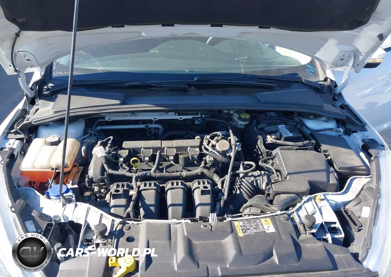 2016 Ford Focus Se VIN:1FADP3K27GL329340 - 10