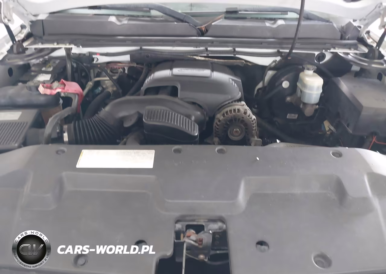 2009 Chevrolet Silverado 1500 Xtra Fuel Economy VIN:3GCEC13359G204570 - 10