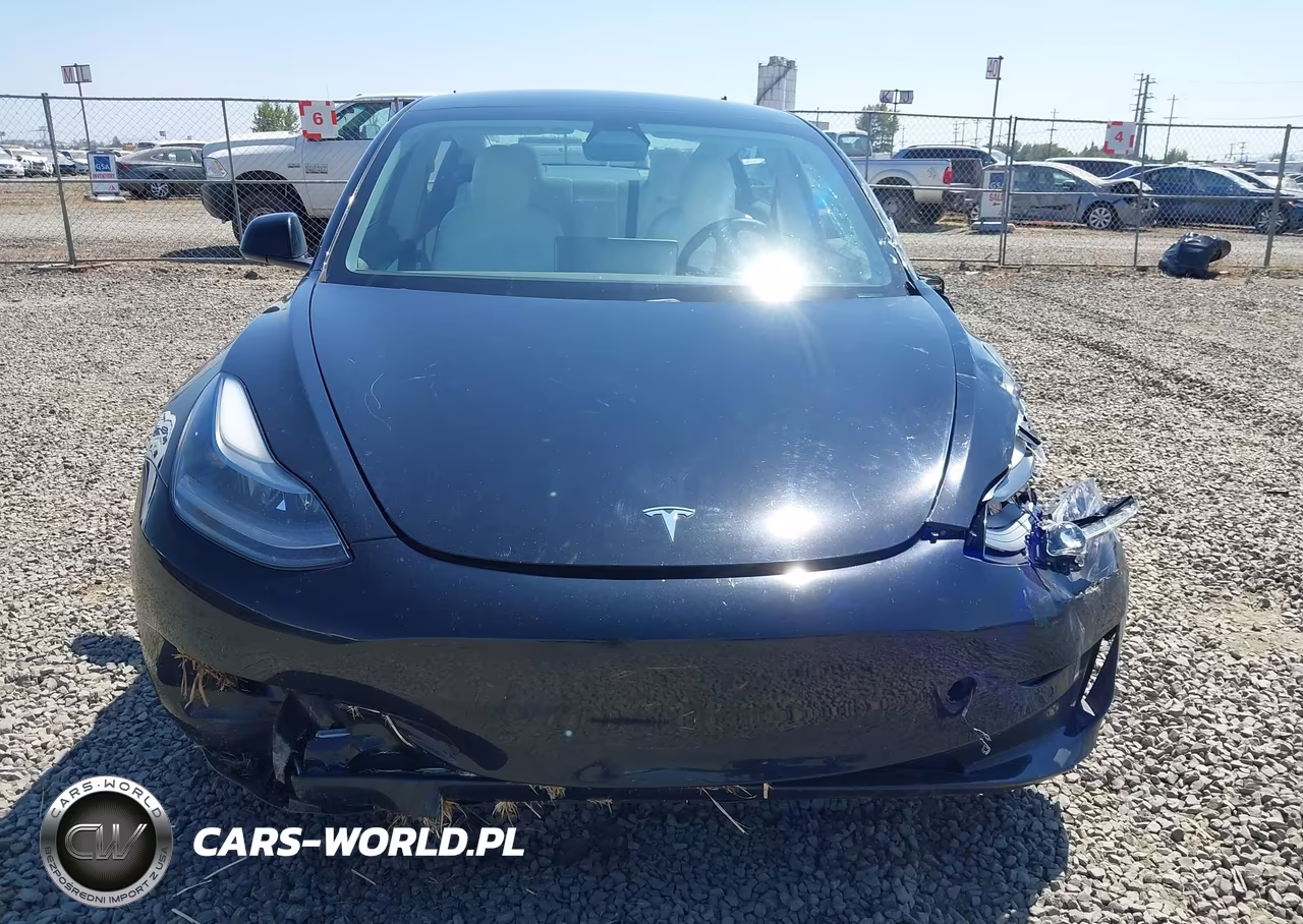 2021 Tesla Model 3 Standard Range Plus Rear-Wheel Drive VIN:5YJ3E1EA4MF927502 - 11