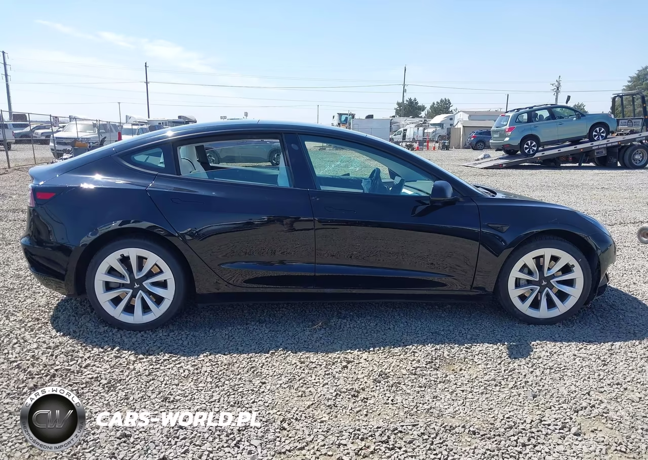 2021 Tesla Model 3 Standard Range Plus Rear-Wheel Drive VIN:5YJ3E1EA4MF927502 - 12