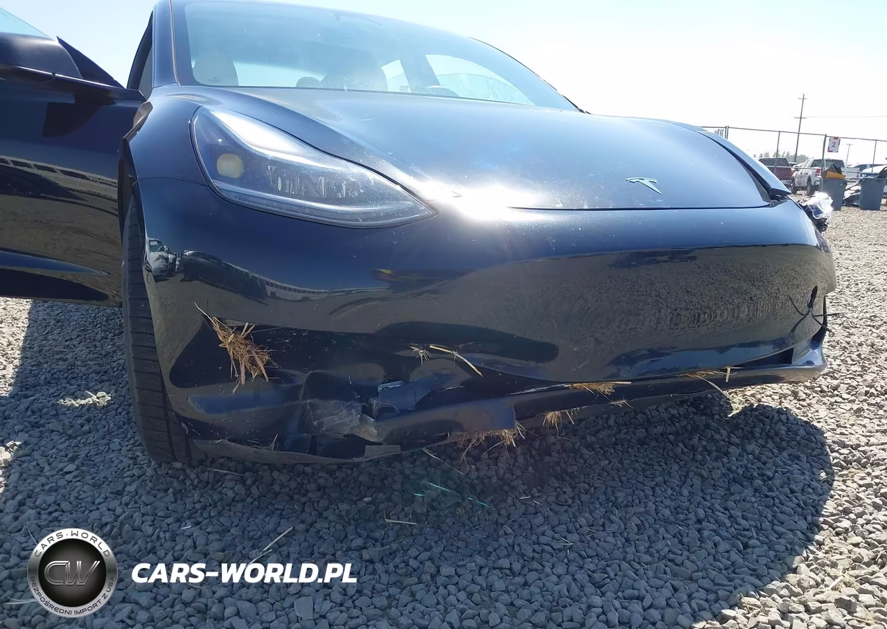 2021 Tesla Model 3 Standard Range Plus Rear-Wheel Drive VIN:5YJ3E1EA4MF927502 - 19