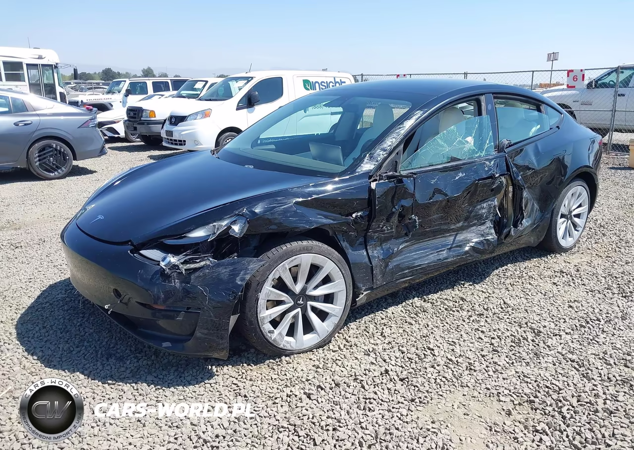 2021 Tesla Model 3 Standard Range Plus Rear-Wheel Drive VIN:5YJ3E1EA4MF927502 - 2