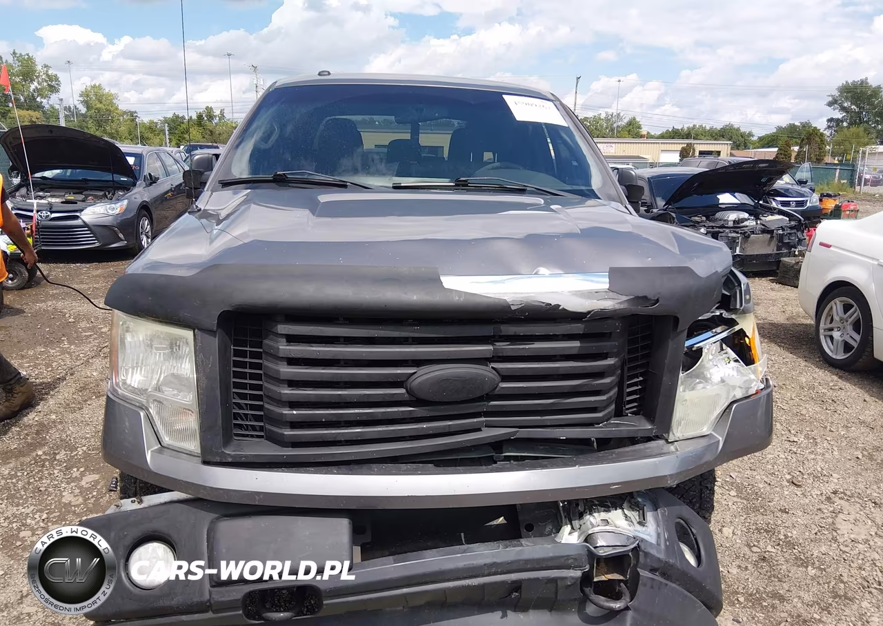 2011 Ford F-150 Xlt VIN:1FTFW1EF3BKD91910 - 12