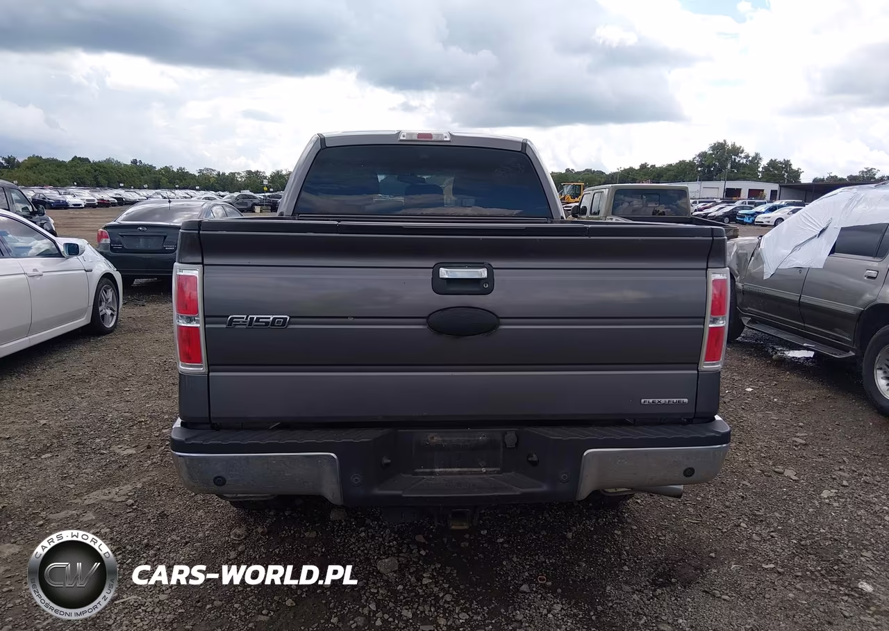 2011 Ford F-150 Xlt VIN:1FTFW1EF3BKD91910 - 16