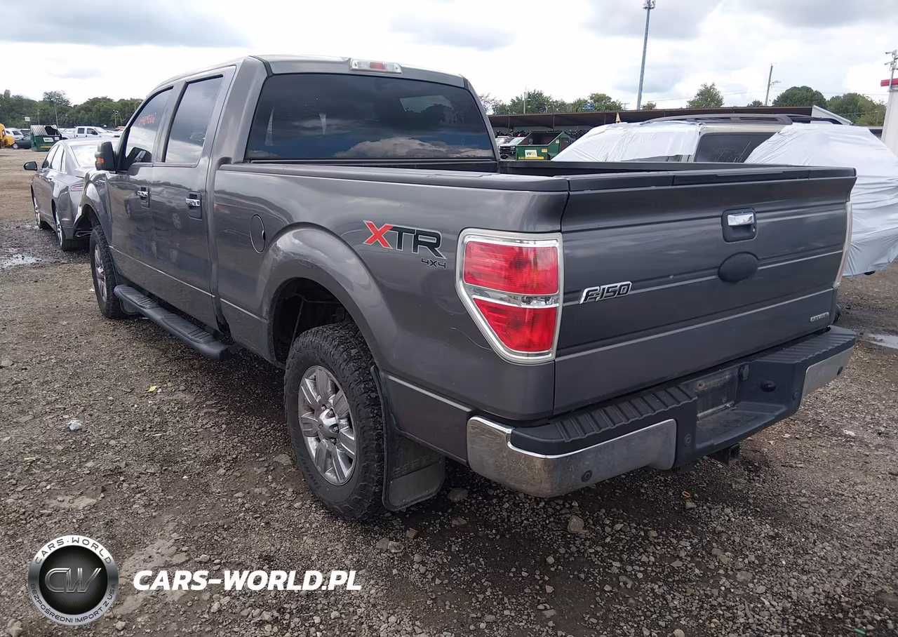 2011 Ford F-150 Xlt VIN:1FTFW1EF3BKD91910 - 3