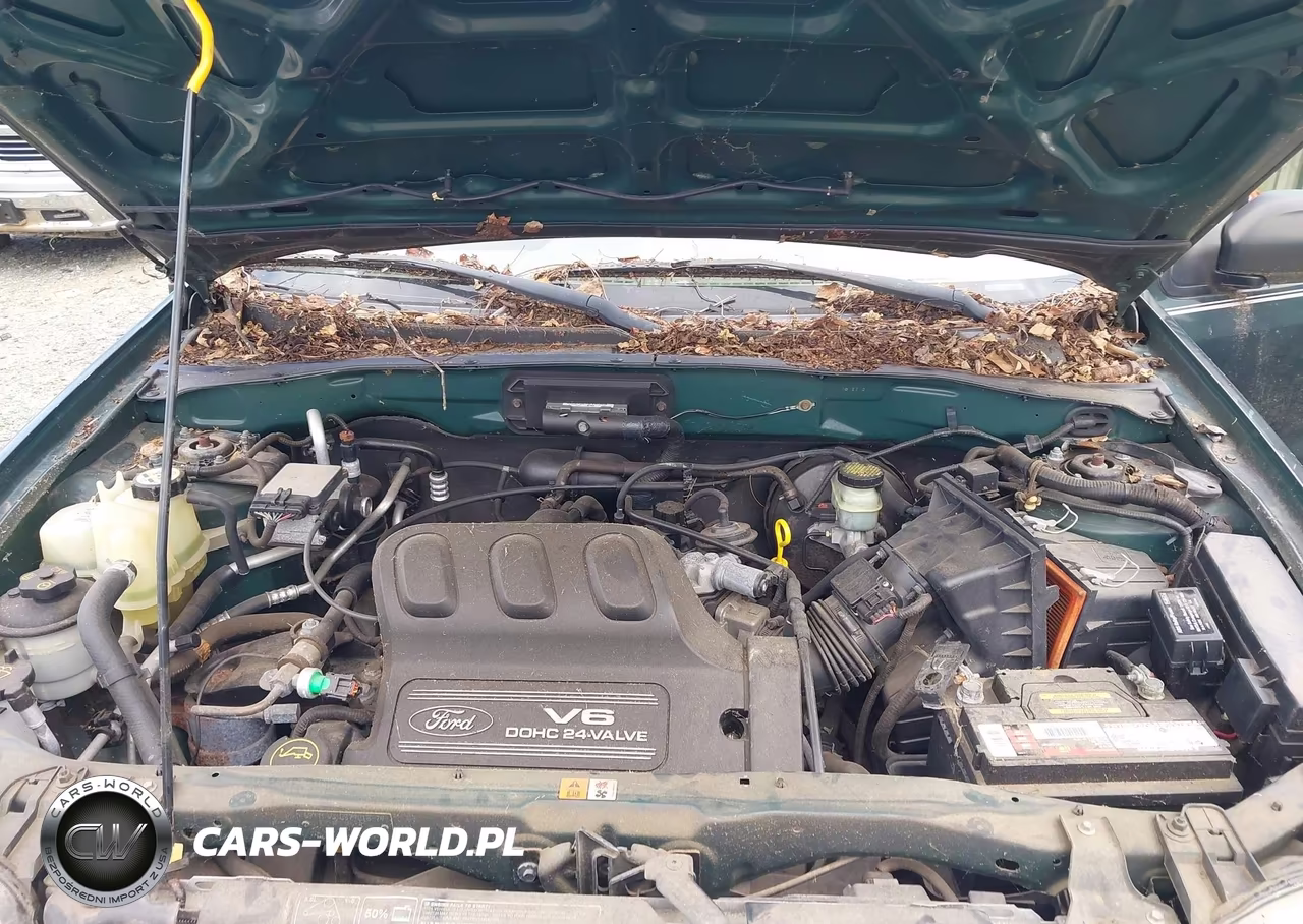 2001 Ford Escape Xlt VIN:1FMYU041X1KF53914 - 10