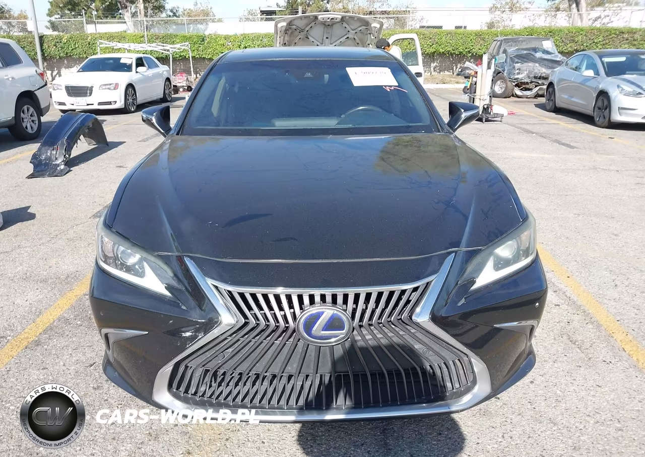 2019 Lexus Es 300H VIN:58AB21B15KU002423 - 13