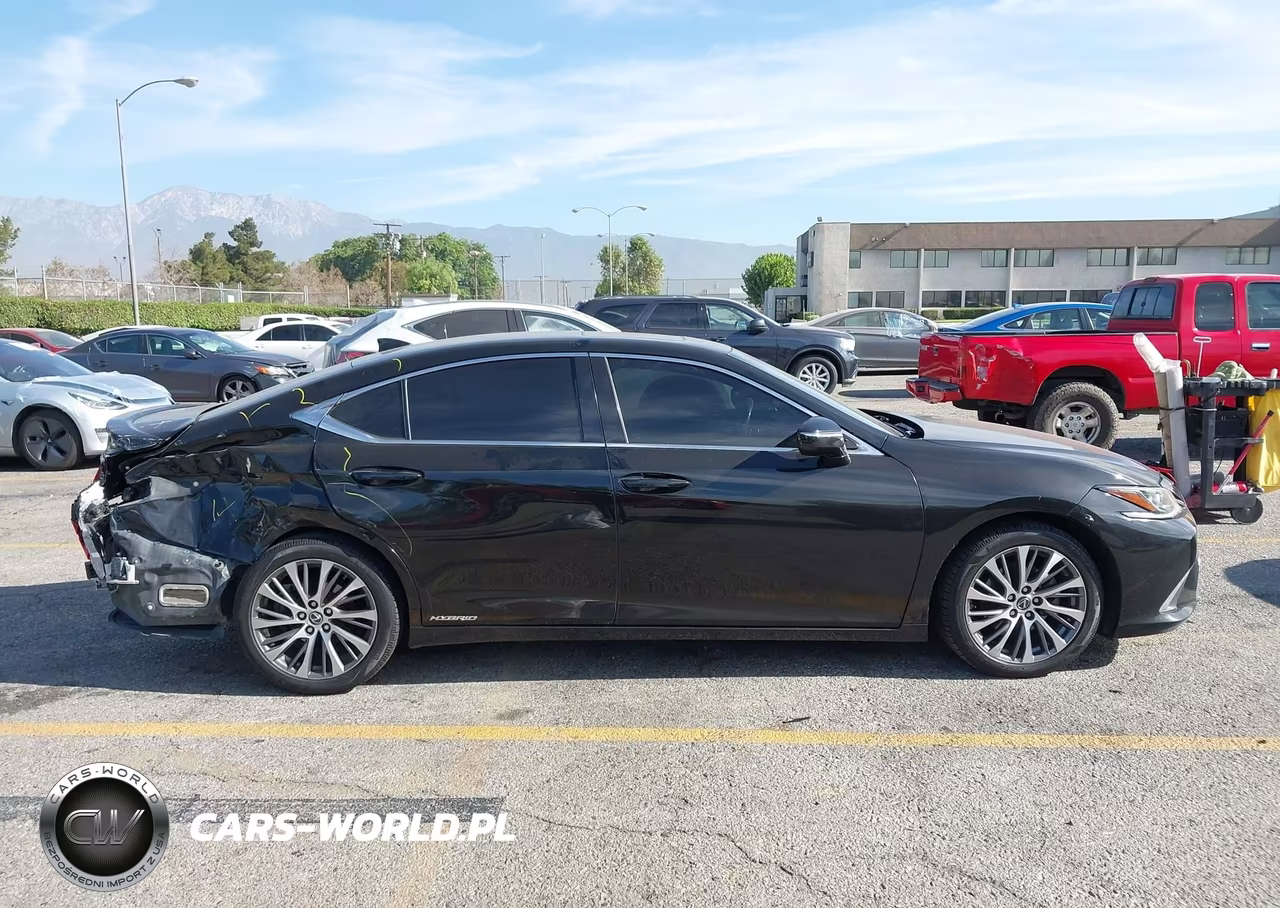 2019 Lexus Es 300H VIN:58AB21B15KU002423 - 14