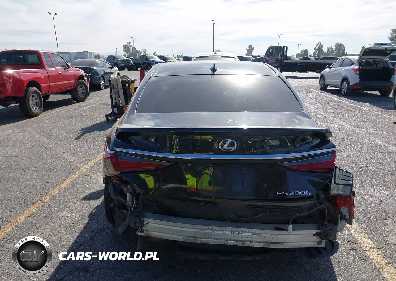 2019 Lexus Es 300H VIN:58AB21B15KU002423 - 17
