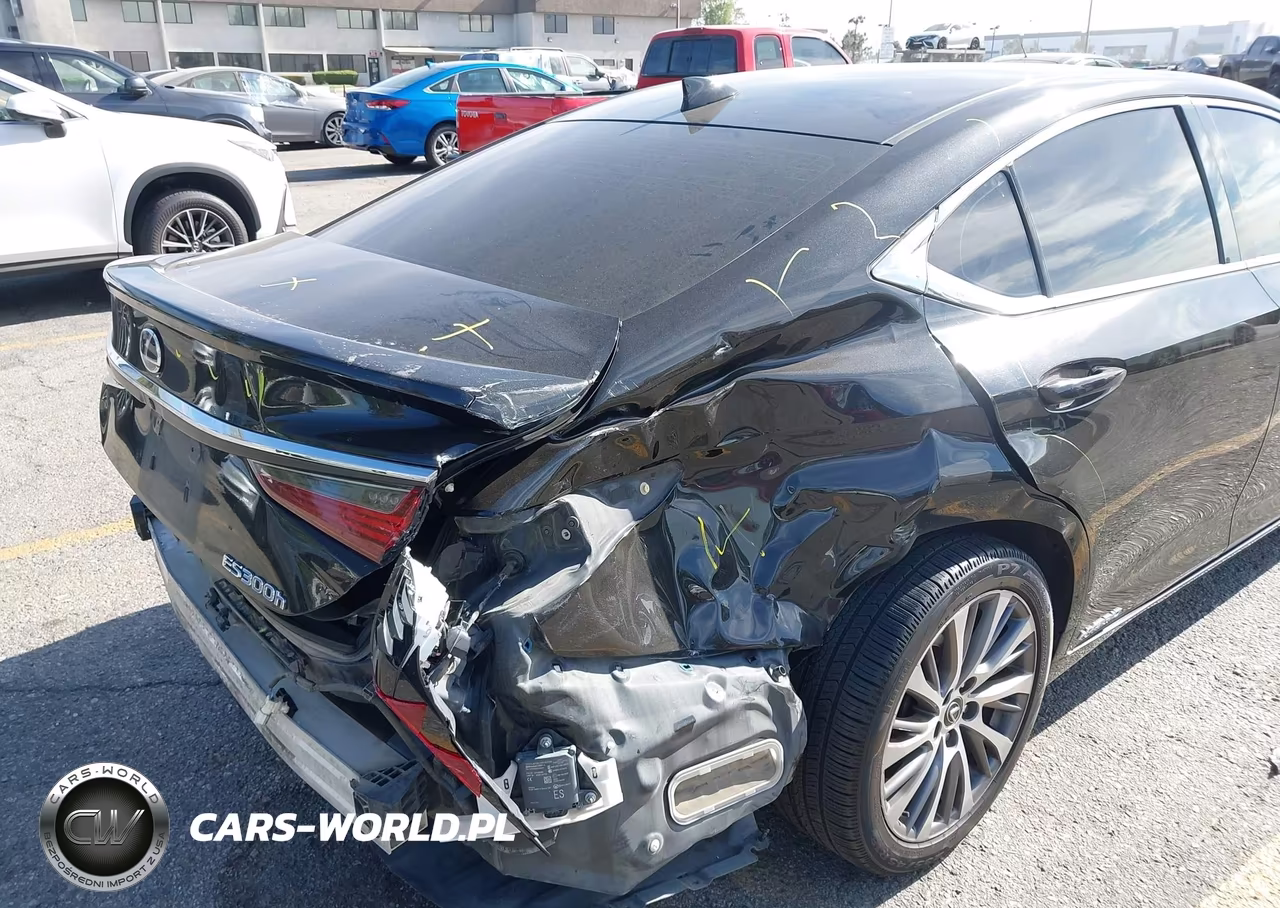 2019 Lexus Es 300H VIN:58AB21B15KU002423 - 18