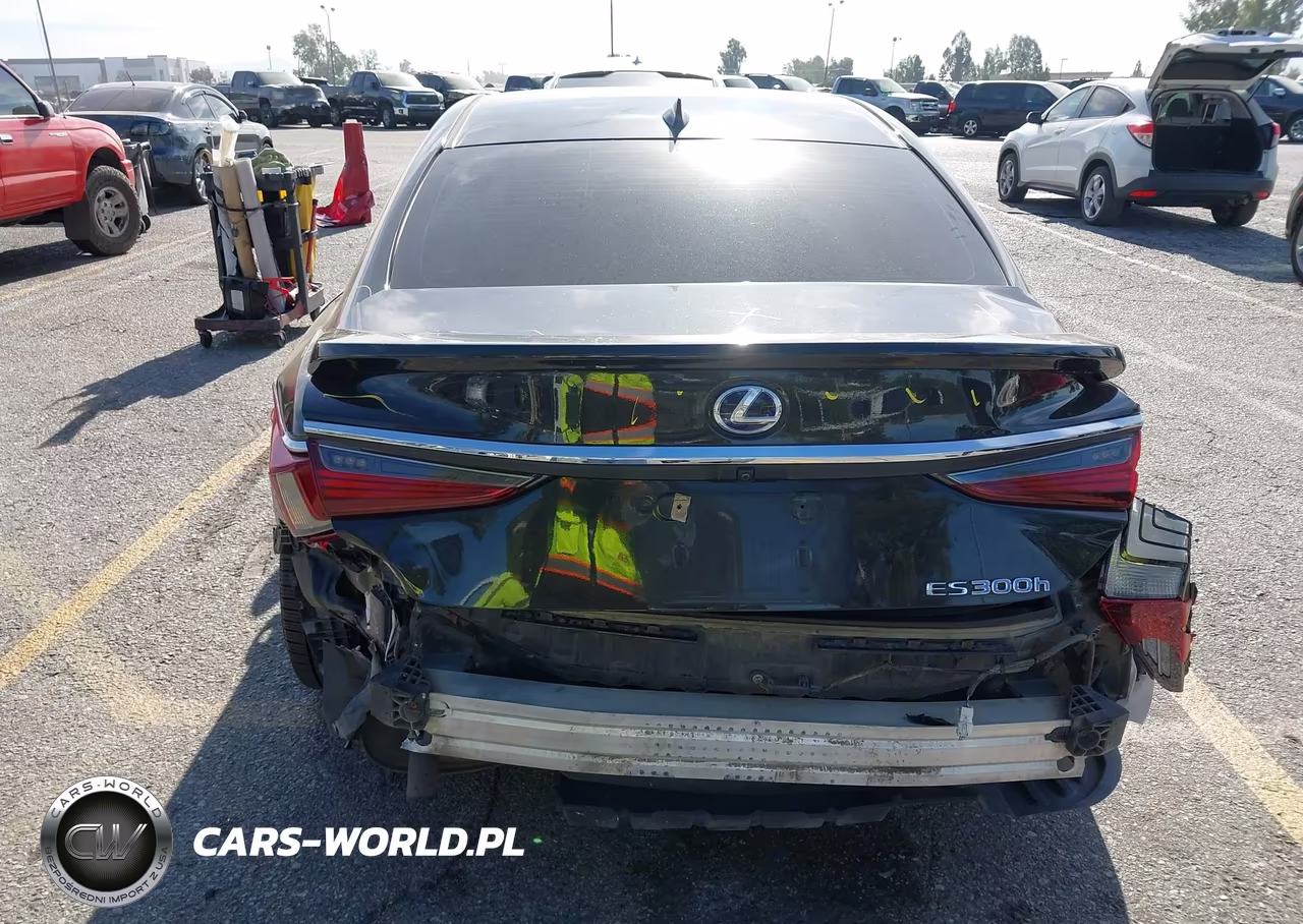 2019 Lexus Es 300H VIN:58AB21B15KU002423 - 19