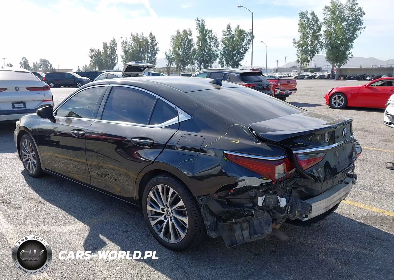2019 Lexus Es 300H VIN:58AB21B15KU002423 - 3
