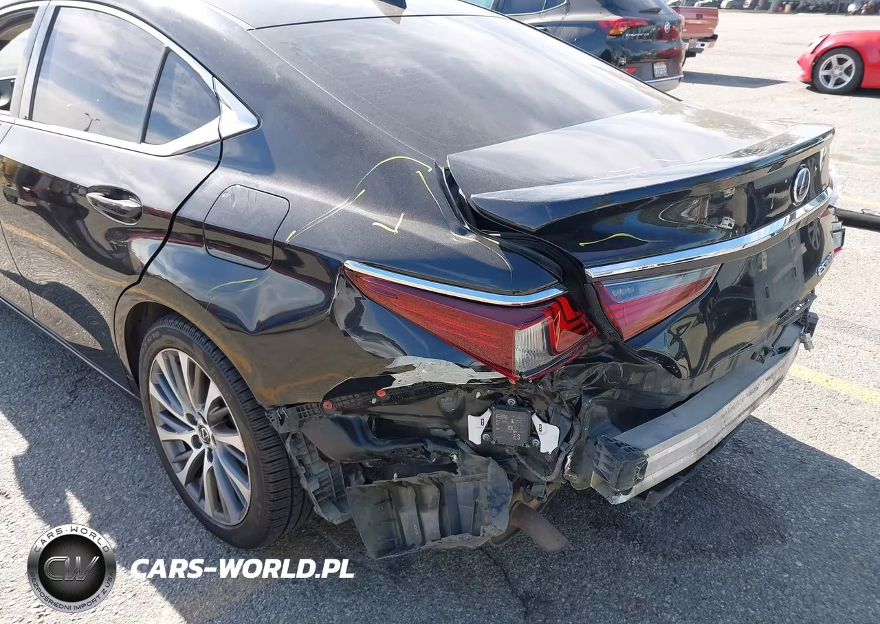 2019 Lexus Es 300H VIN:58AB21B15KU002423 - 6