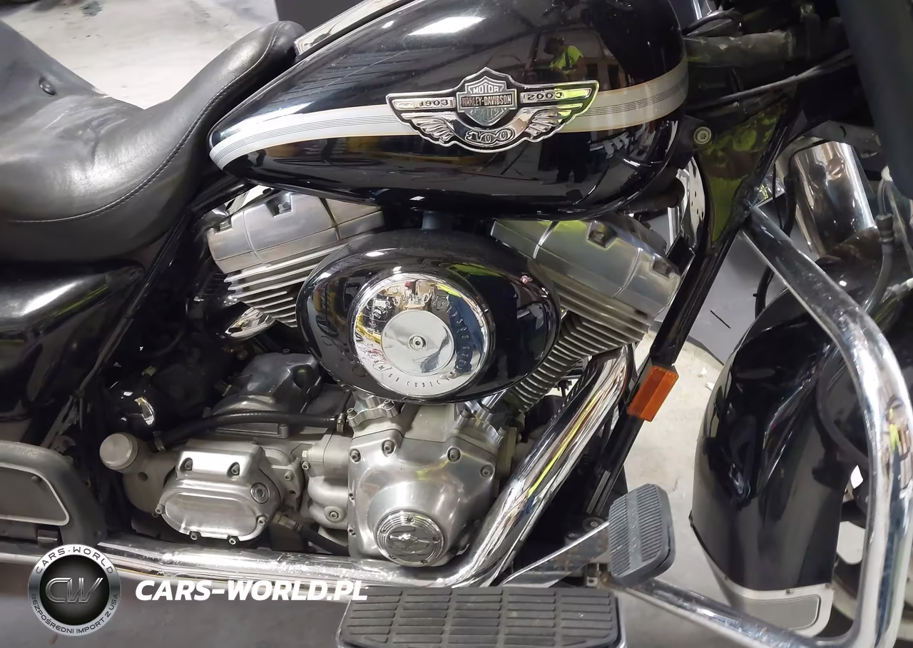 2003 Harley-Davidson Flhti VIN:1HD1FVW1X3Y610962 - 8
