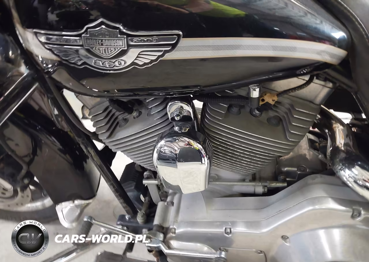 2003 Harley-Davidson Flhti VIN:1HD1FVW1X3Y610962 - 9