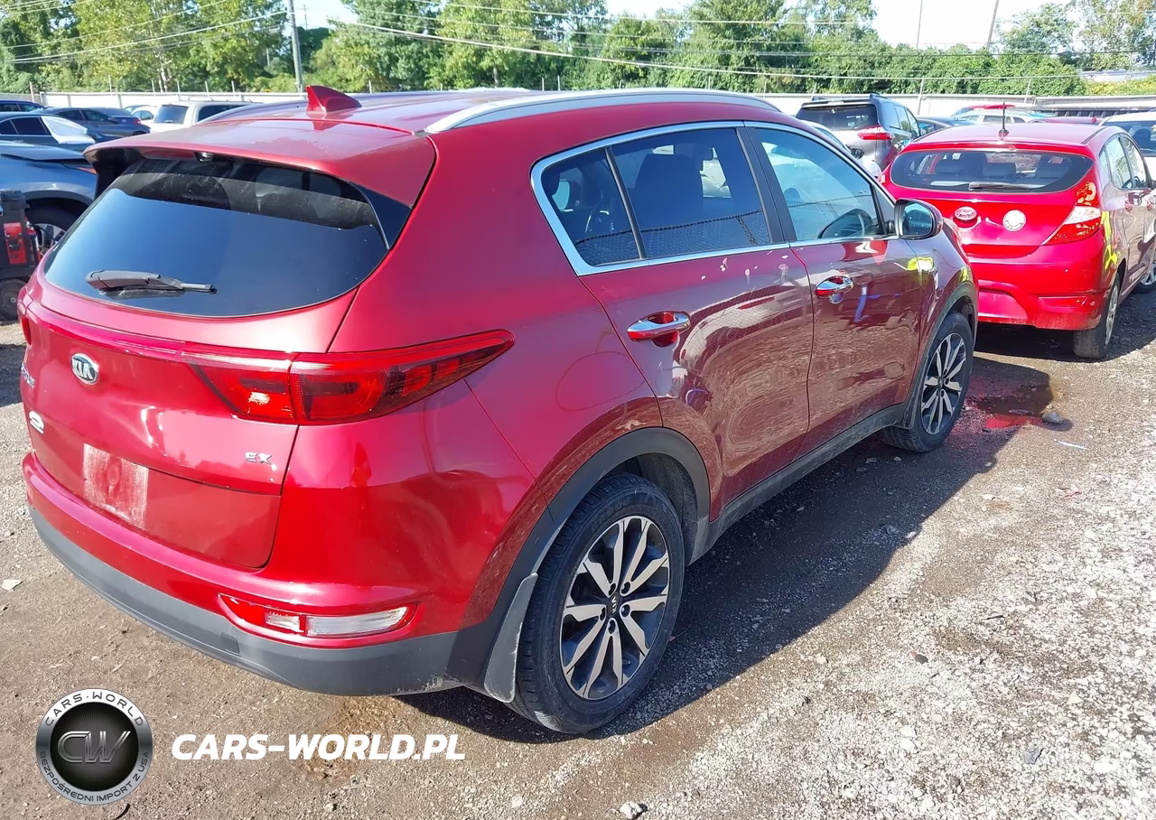 2017 Kia Sportage Ex VIN:KNDPNCAC9H7106959 - 4