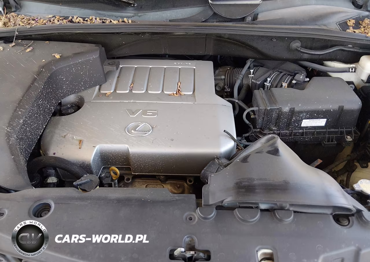 2009 Lexus Rx 350 VIN:2T2GK31U49C069381 - 10