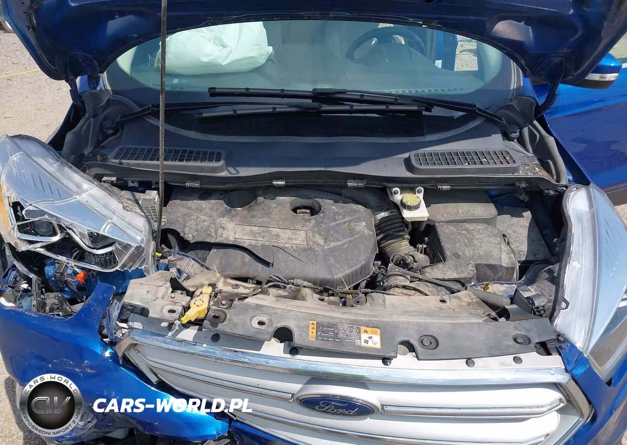 2019 Ford Escape Titanium VIN:1FMCU9J9XKUC55927 - 10