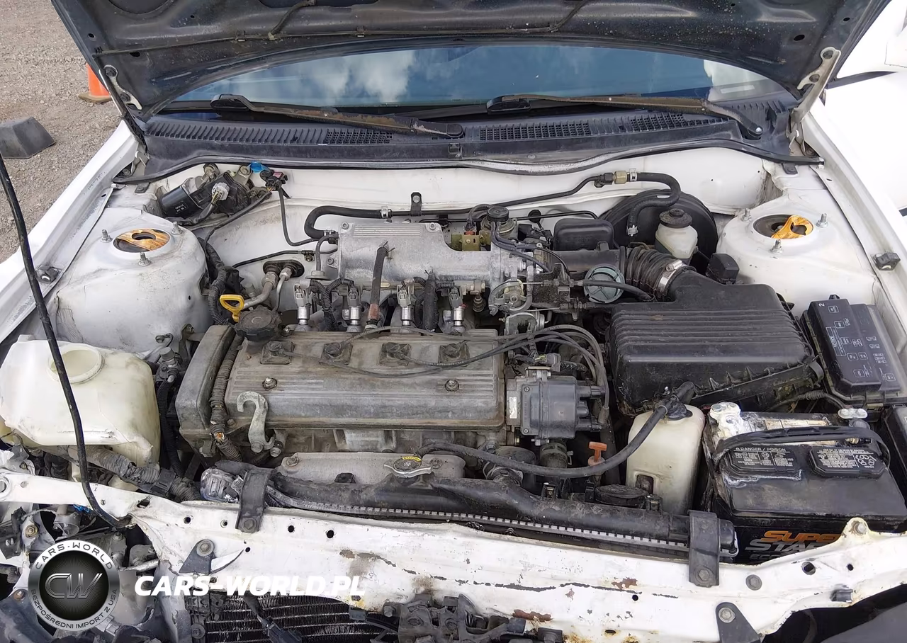1996 Toyota Corolla Dx VIN:1NXBB02E2TZ445473 - 10
