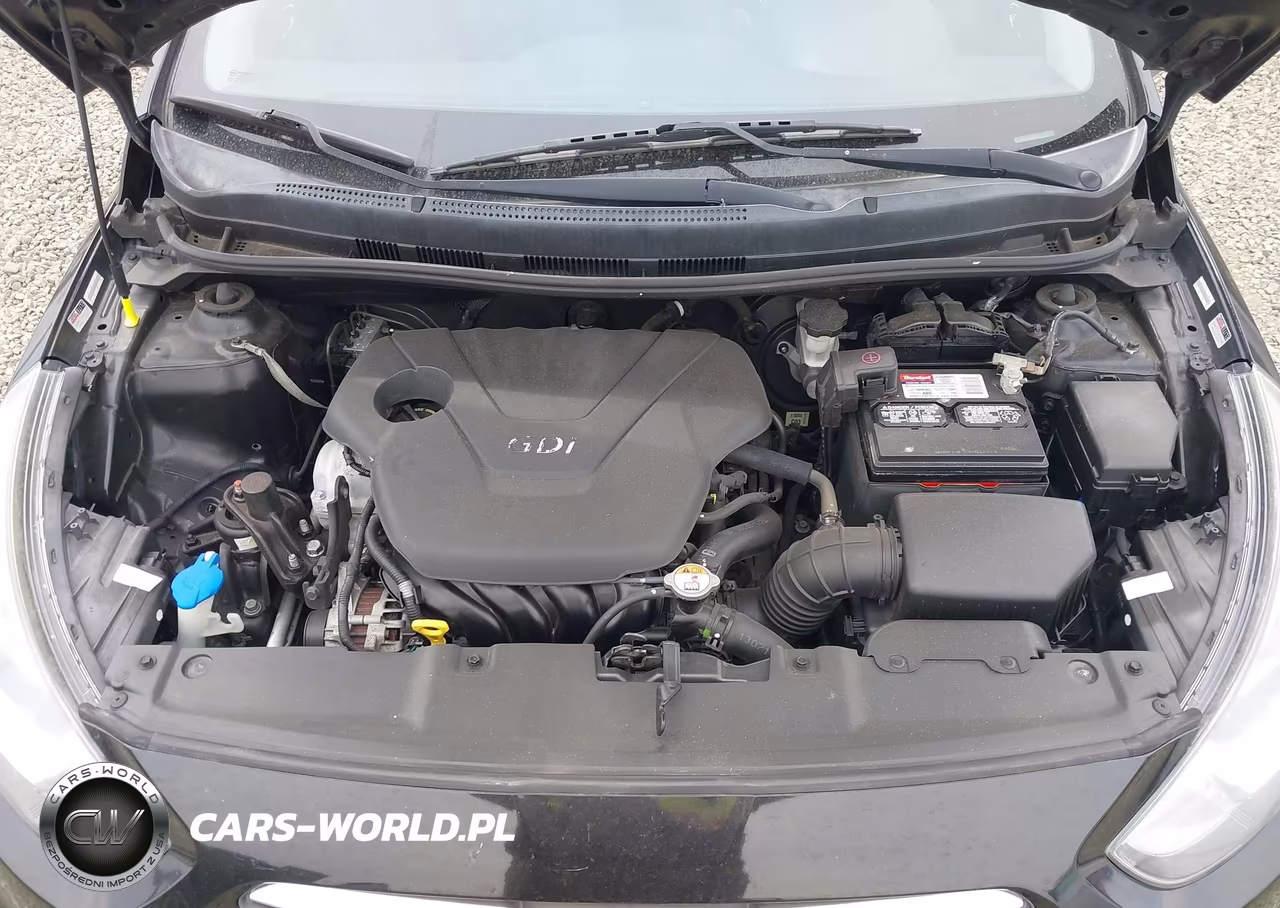 2013 Hyundai Accent Se VIN:KMHCU5AE5DU131301 - 10