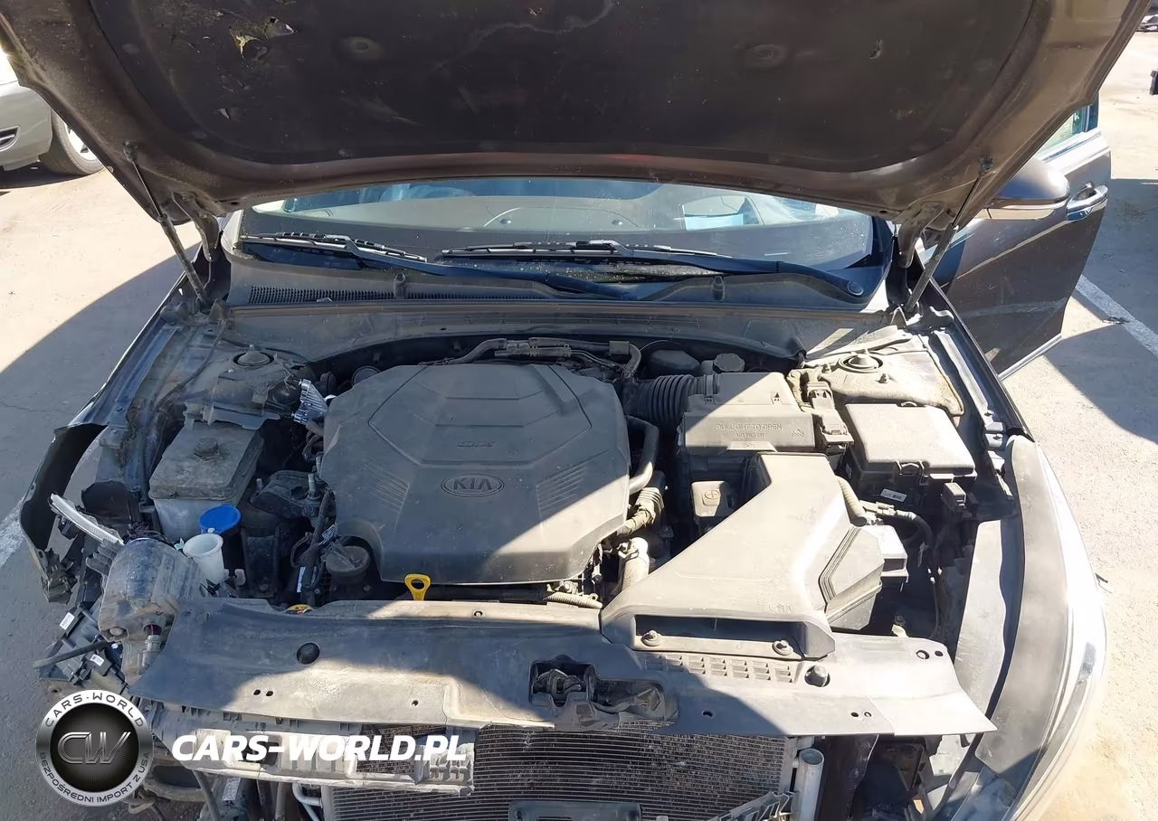 2017 Kia Cadenza Limited VIN:KNALC4J16H5067670 - 10