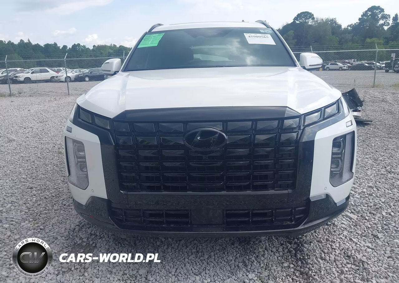2025 Hyundai Palisade Calligraphy Night Edition VIN:KM8R7DGE4SU808760 - 12