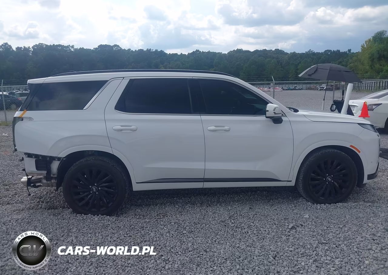 2025 Hyundai Palisade Calligraphy Night Edition VIN:KM8R7DGE4SU808760 - 13