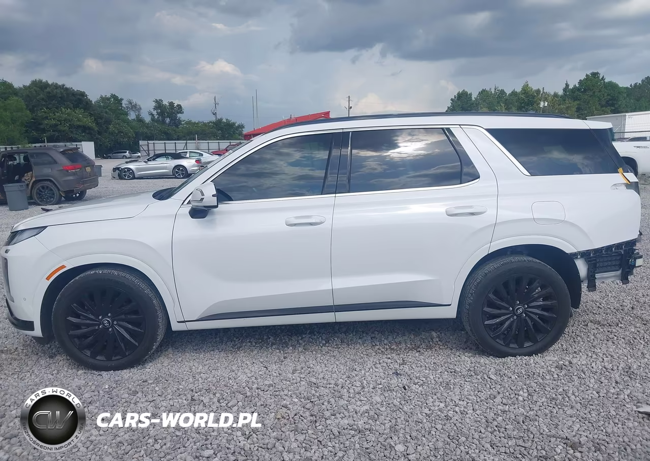 2025 Hyundai Palisade Calligraphy Night Edition VIN:KM8R7DGE4SU808760 - 14