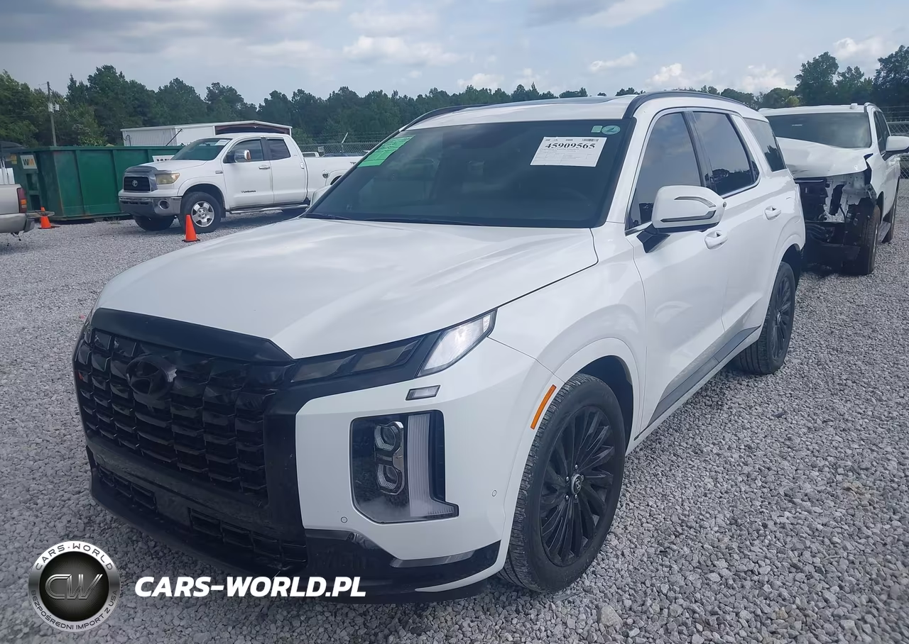 2025 Hyundai Palisade Calligraphy Night Edition VIN:KM8R7DGE4SU808760 - 2