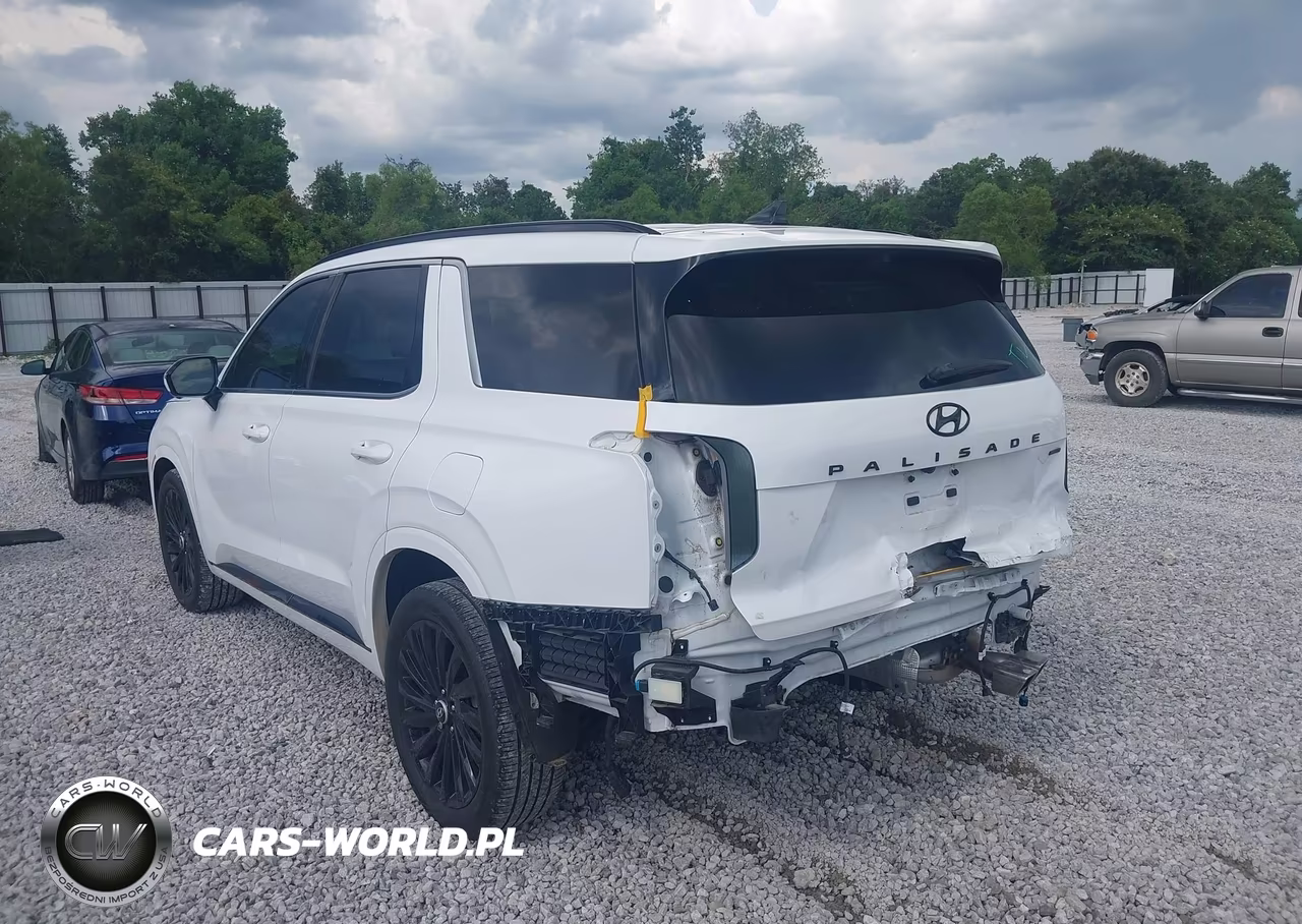2025 Hyundai Palisade Calligraphy Night Edition VIN:KM8R7DGE4SU808760 - 3