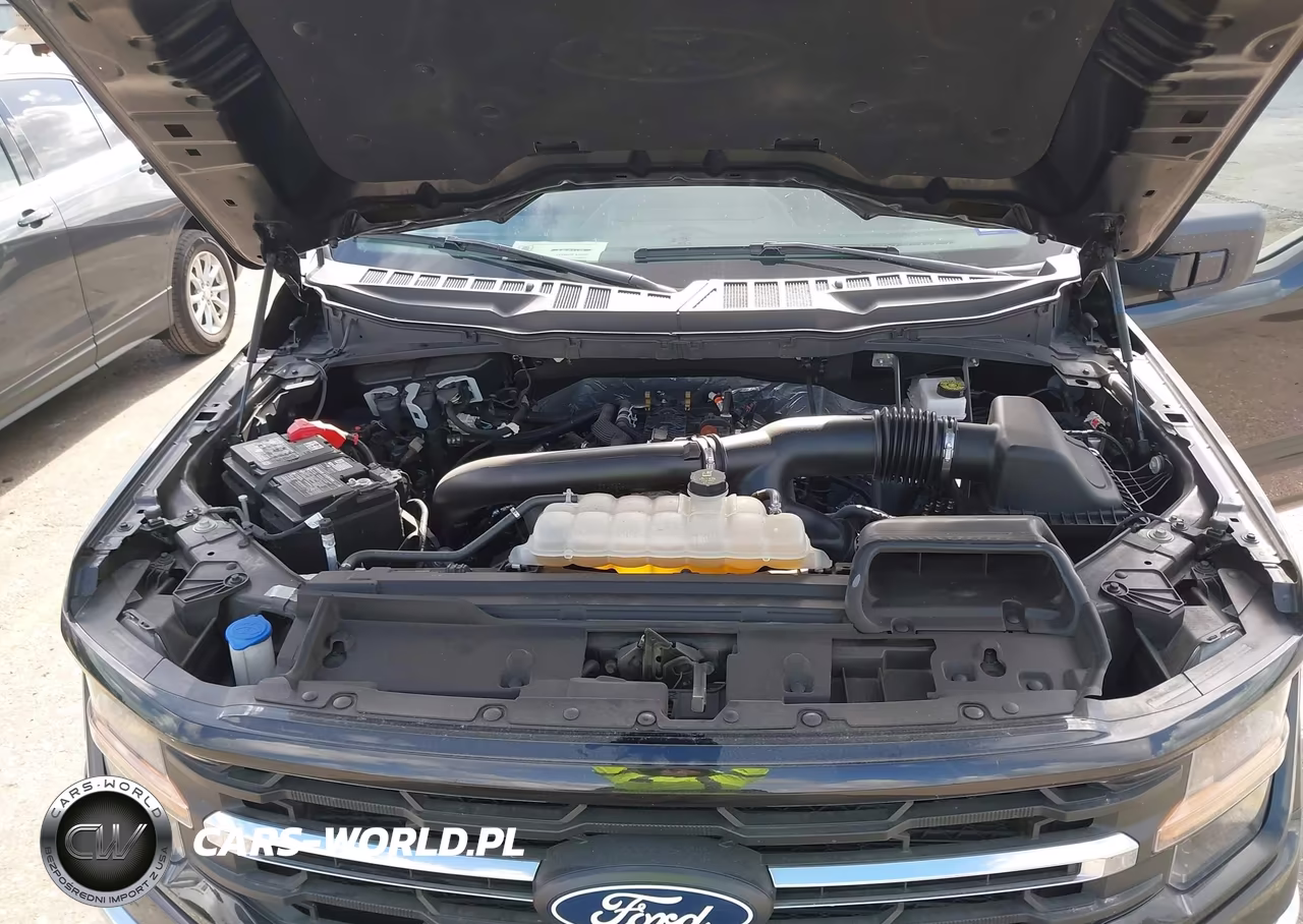 2025 Ford F-150 Xlt VIN:1FTEW3K89SKD37184 - 10