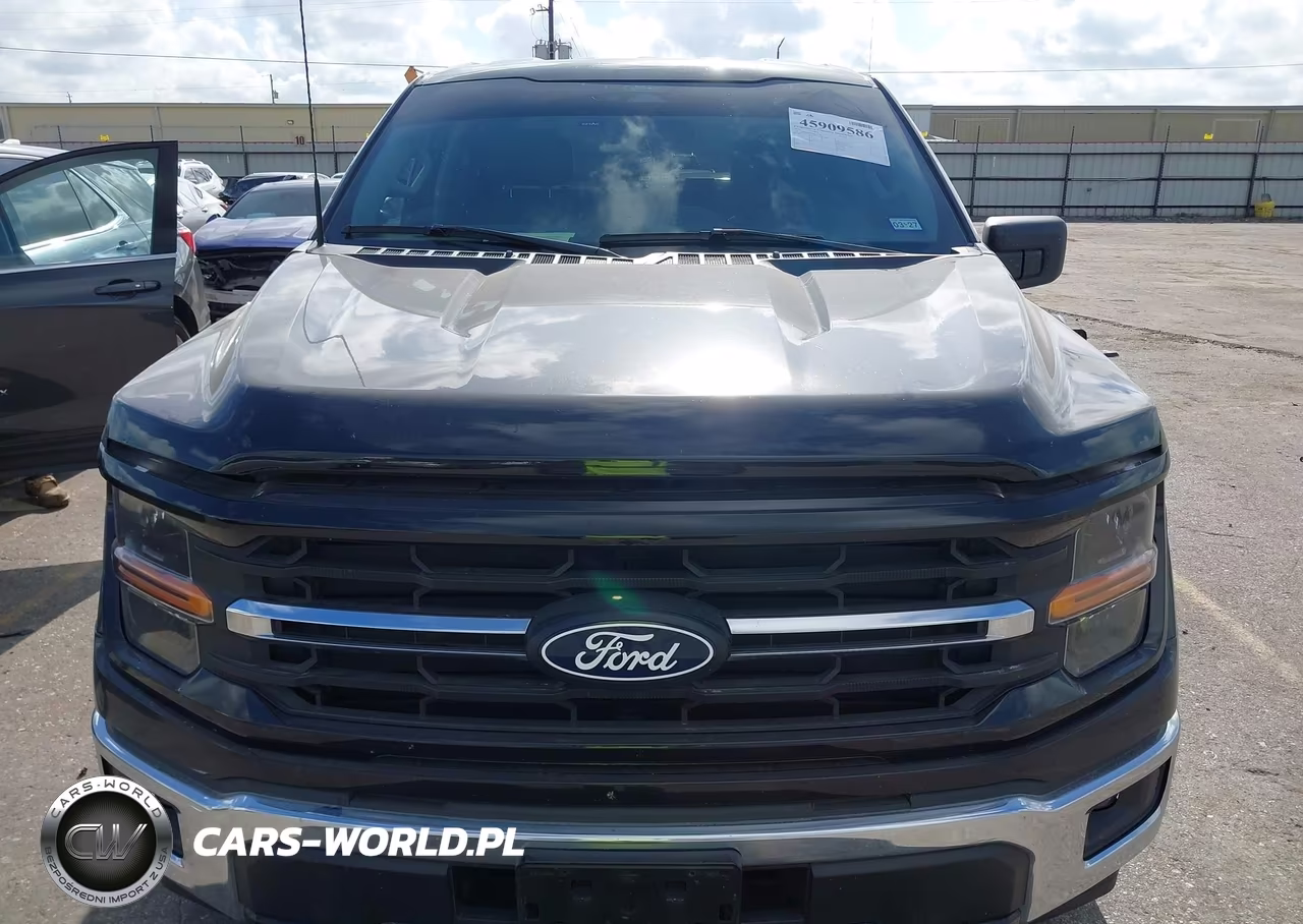 2025 Ford F-150 Xlt VIN:1FTEW3K89SKD37184 - 13