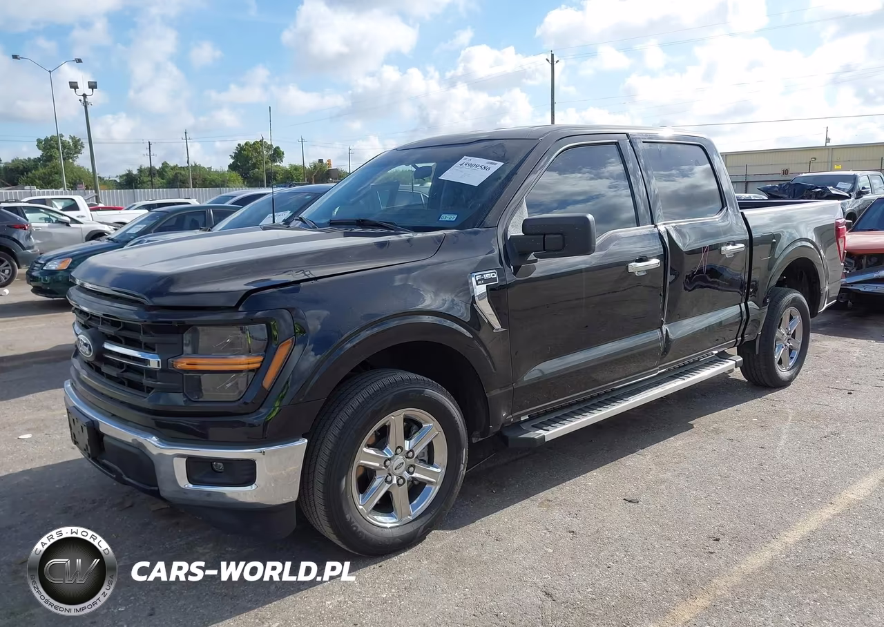 2025 Ford F-150 Xlt VIN:1FTEW3K89SKD37184 - 2