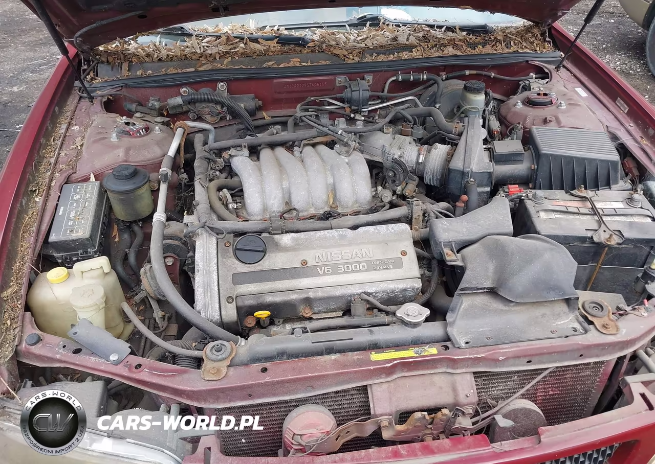 1995 Nissan Maxima Gle-Gxe-Se VIN:JN1CA21D9ST606165 - 10