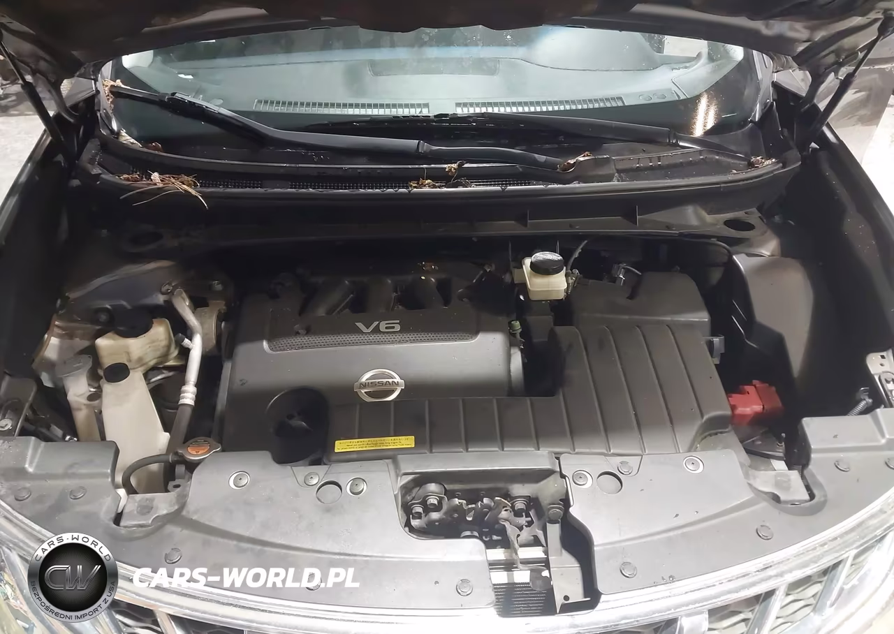 2014 Nissan Murano S VIN:JN8AZ1MW8EW519997 - 10