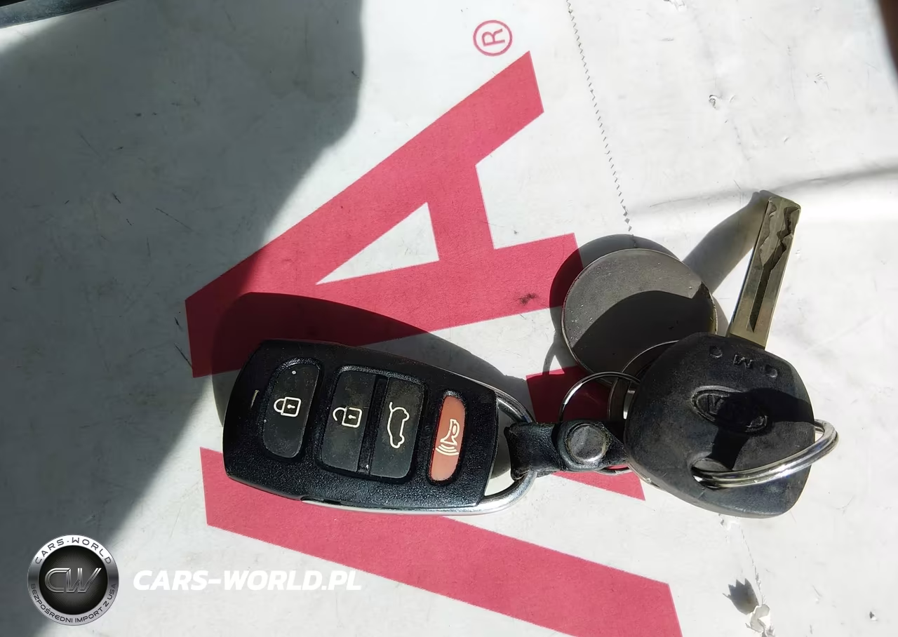 2009 Kia Borrego Lx VIN:KNDJJ741395036729 - 11