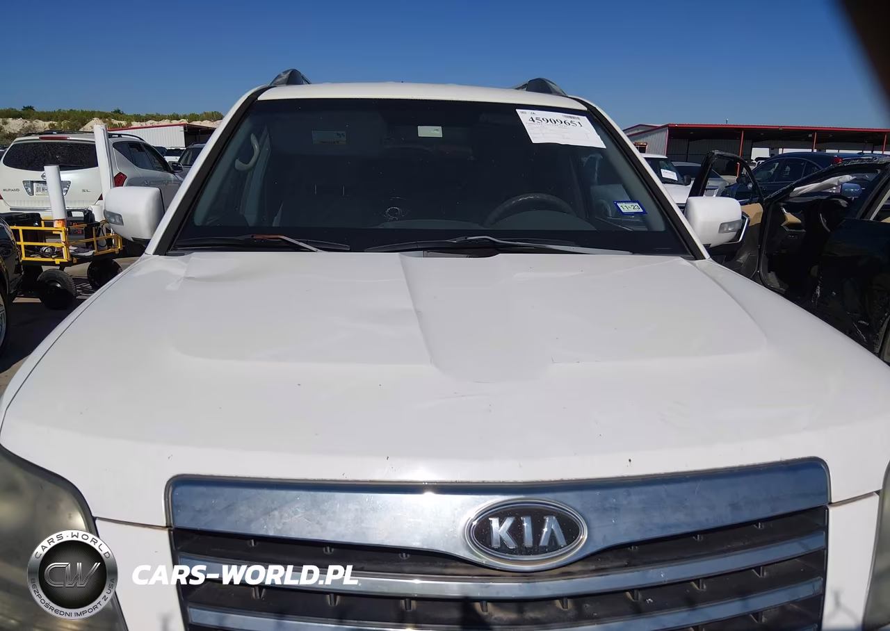 2009 Kia Borrego Lx VIN:KNDJJ741395036729 - 6