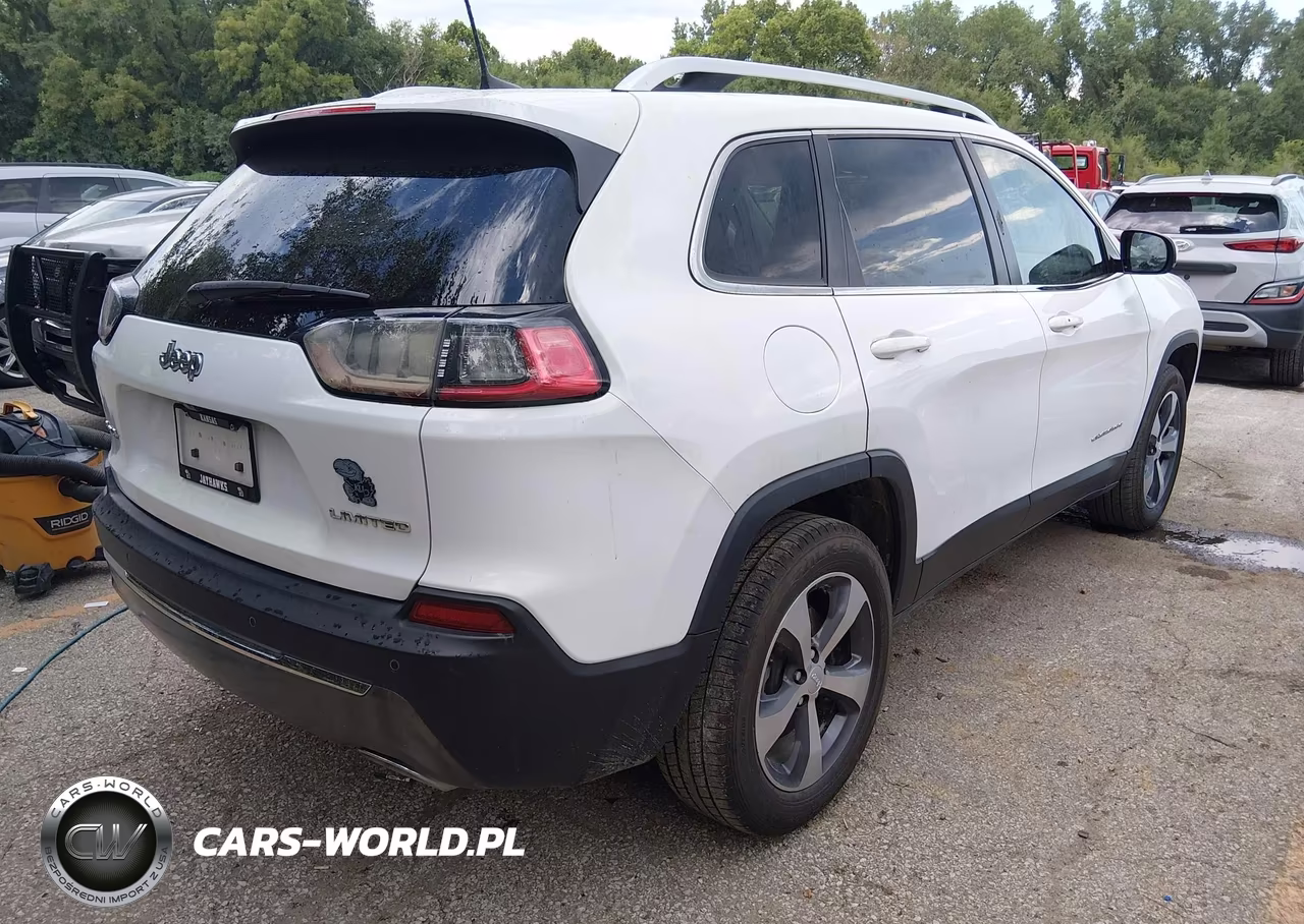 2019 Jeep Cherokee Limited 4X4 VIN:1C4PJMDX1KD484556 - 4