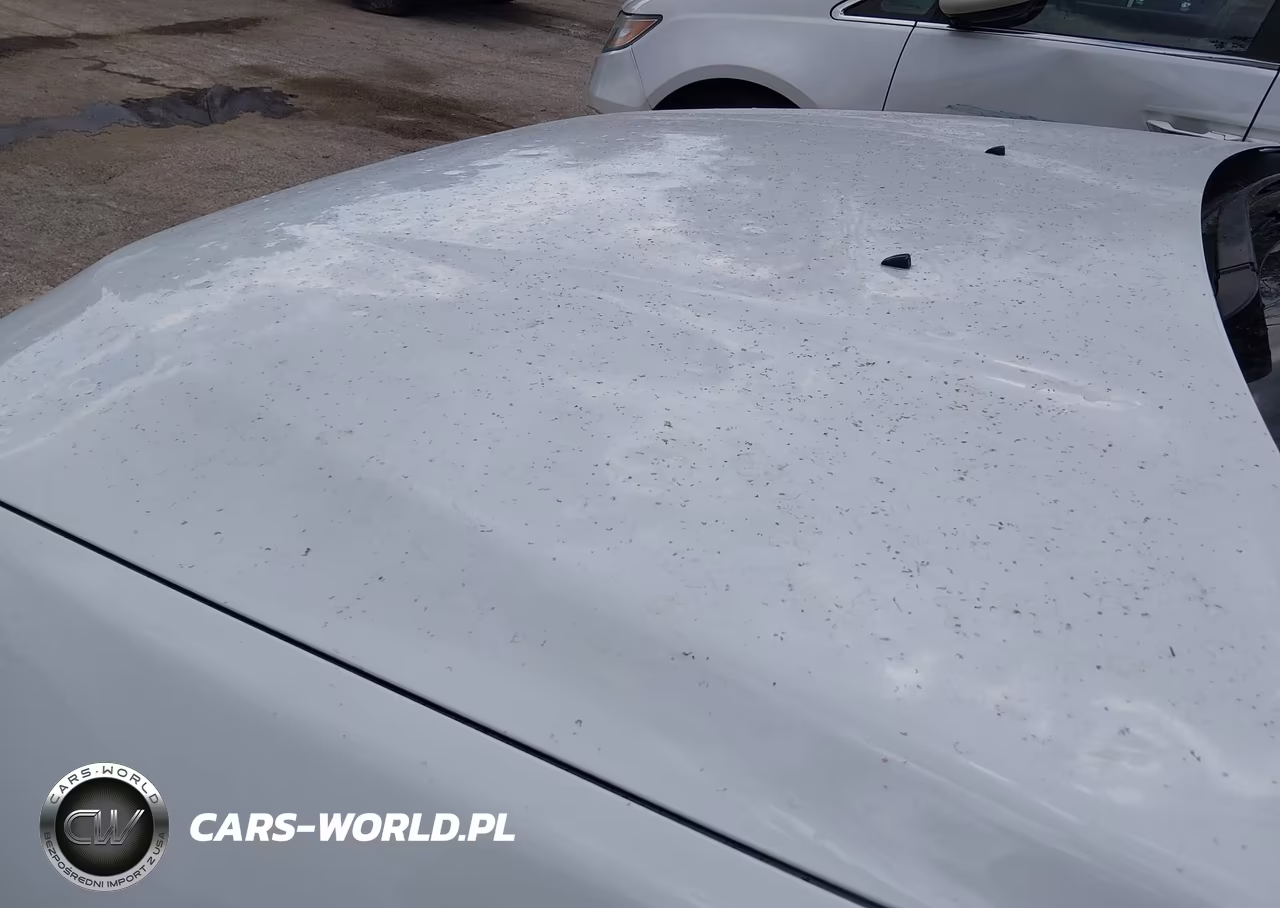 2019 Jeep Cherokee Limited 4X4 VIN:1C4PJMDX1KD484556 - 6